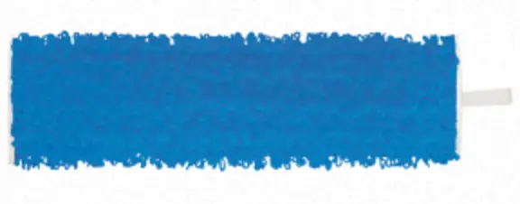 Loop Velcro Pad Blue 10/25 10" For Cleano (Pack Of 6) 1