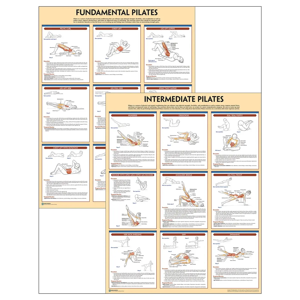 Pilates Anatomy Poster Series 1