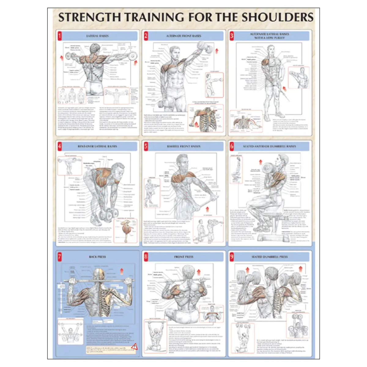 Strength Training For Shoulders Poster 1