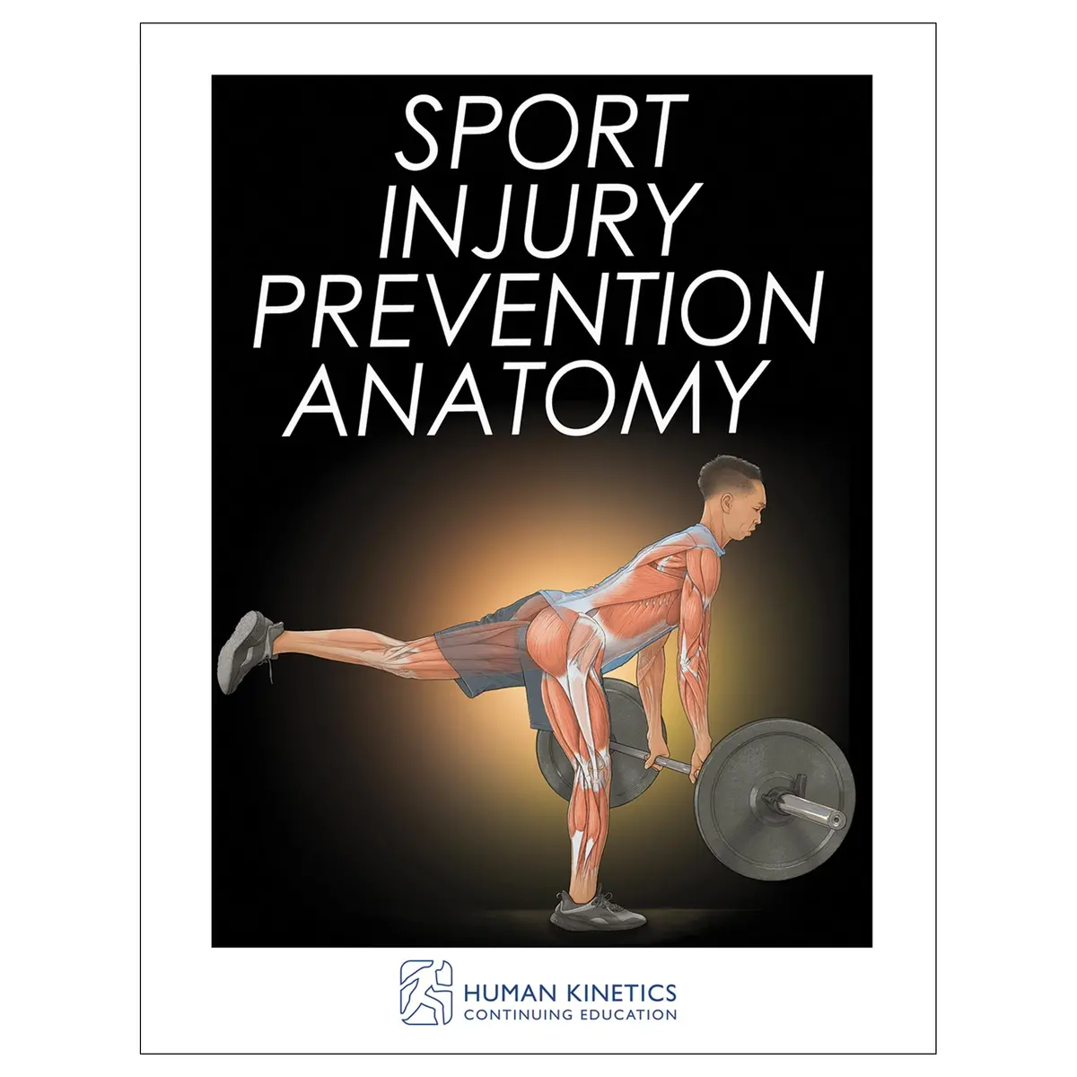 Sport Injury Prevention Anatomy Online Ce Exam With Ebook 1