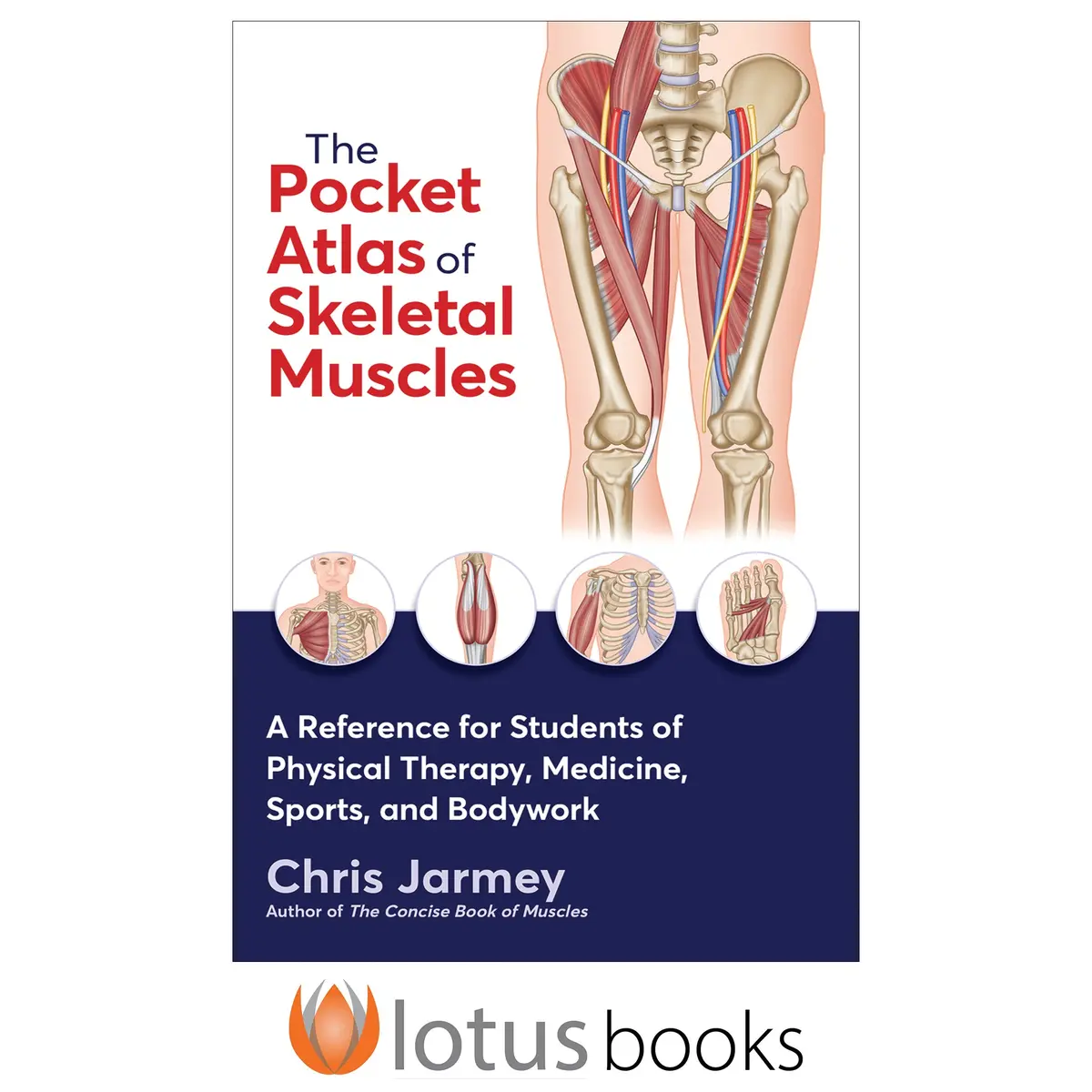 The Pocket Atlas Of Skeletal Muscles 1