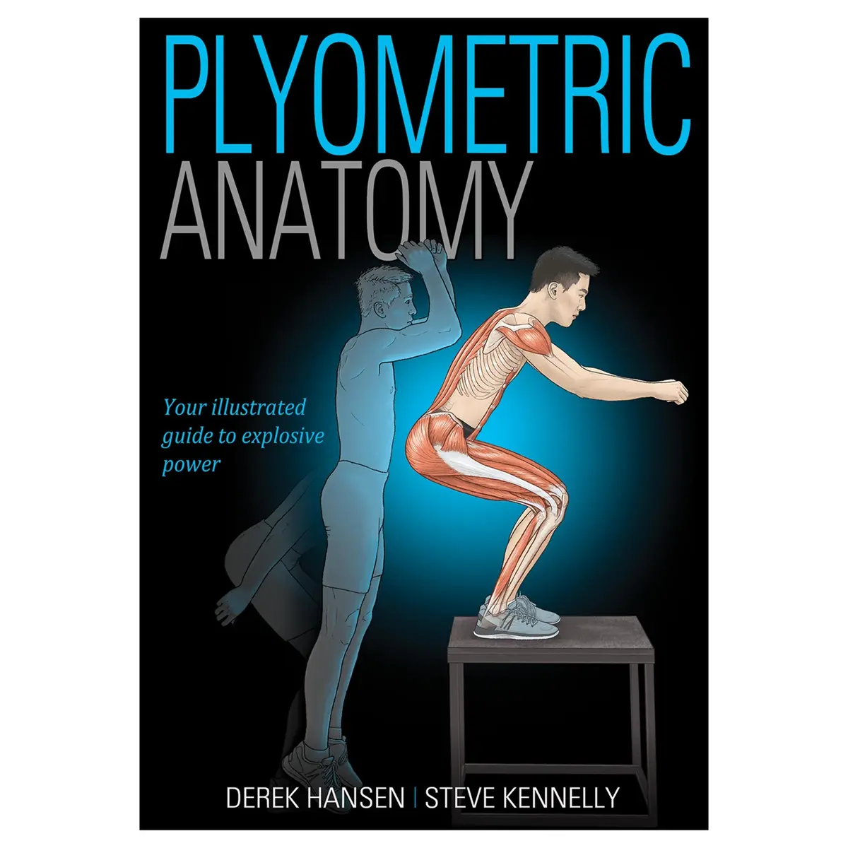 Plyometric Anatomy 1