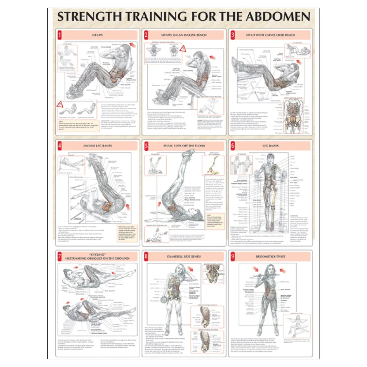 Strength Training For The Abdomen Poster 1