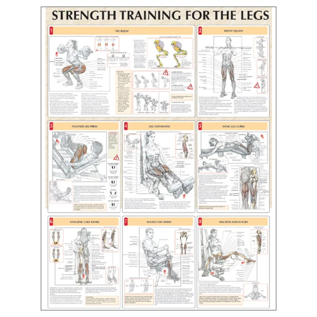 Strength Training For The Legs Poster 1