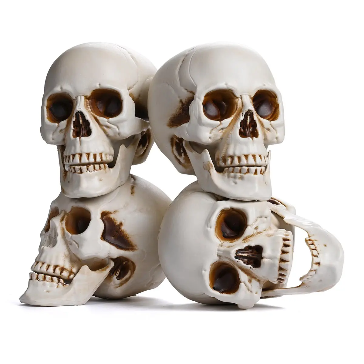 Yescom Halloween Skulls Life Size Skeleton Head 4Ct/Pk 1