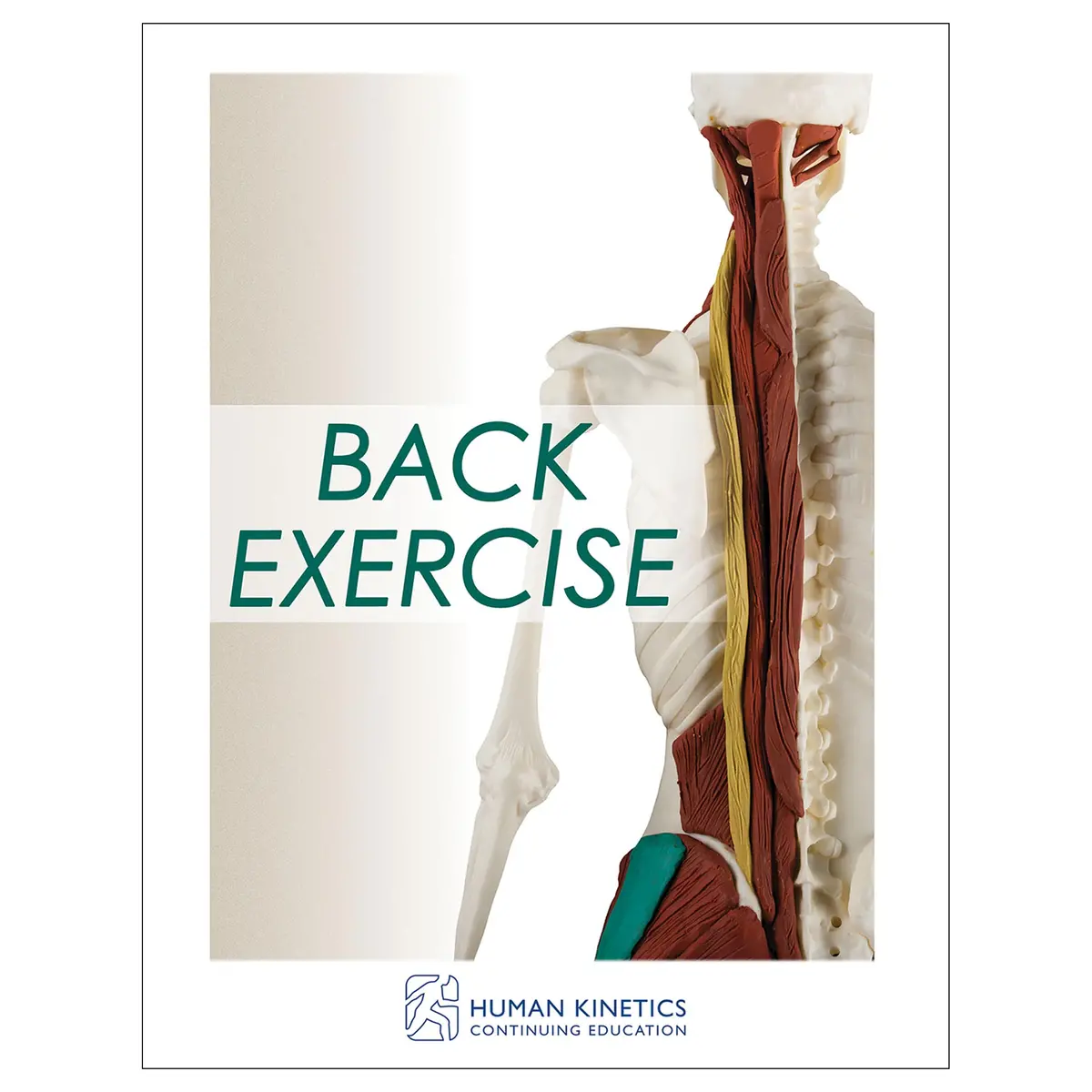Back Exercise Online Ce Exam With Ebook 1