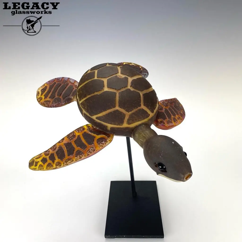 Addison Hanna Sea Turtle Rig 1