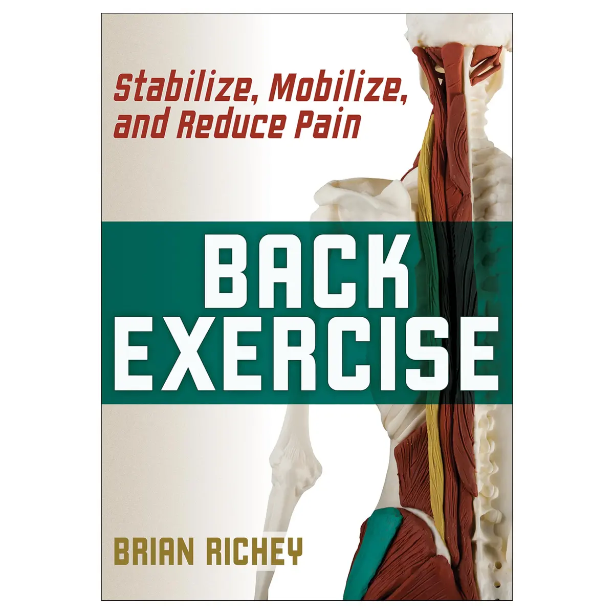 Back Exercise Epub 1
