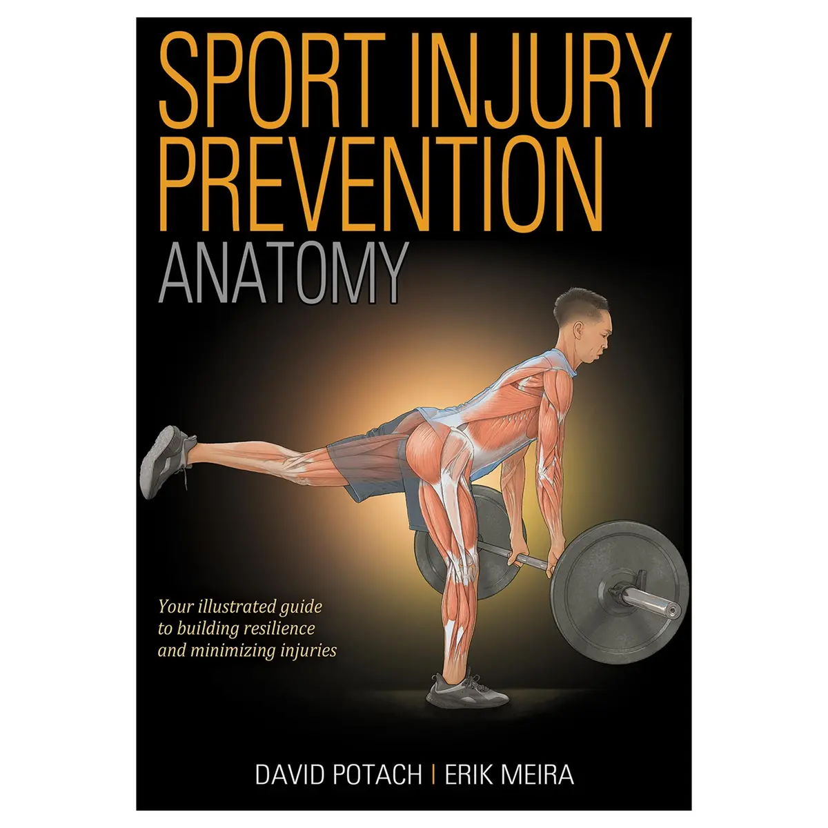 Sport Injury Prevention Anatomy 1