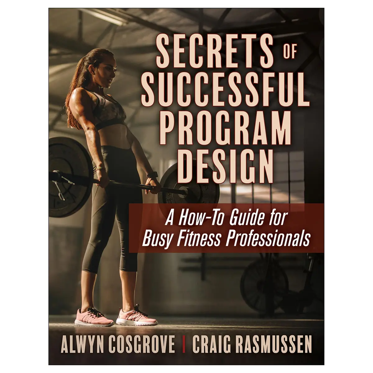 Secrets Of Successful Program Design Epub 1