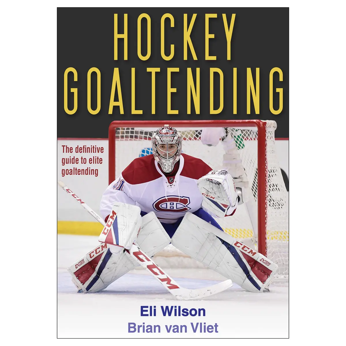 Hockey Goaltending 1