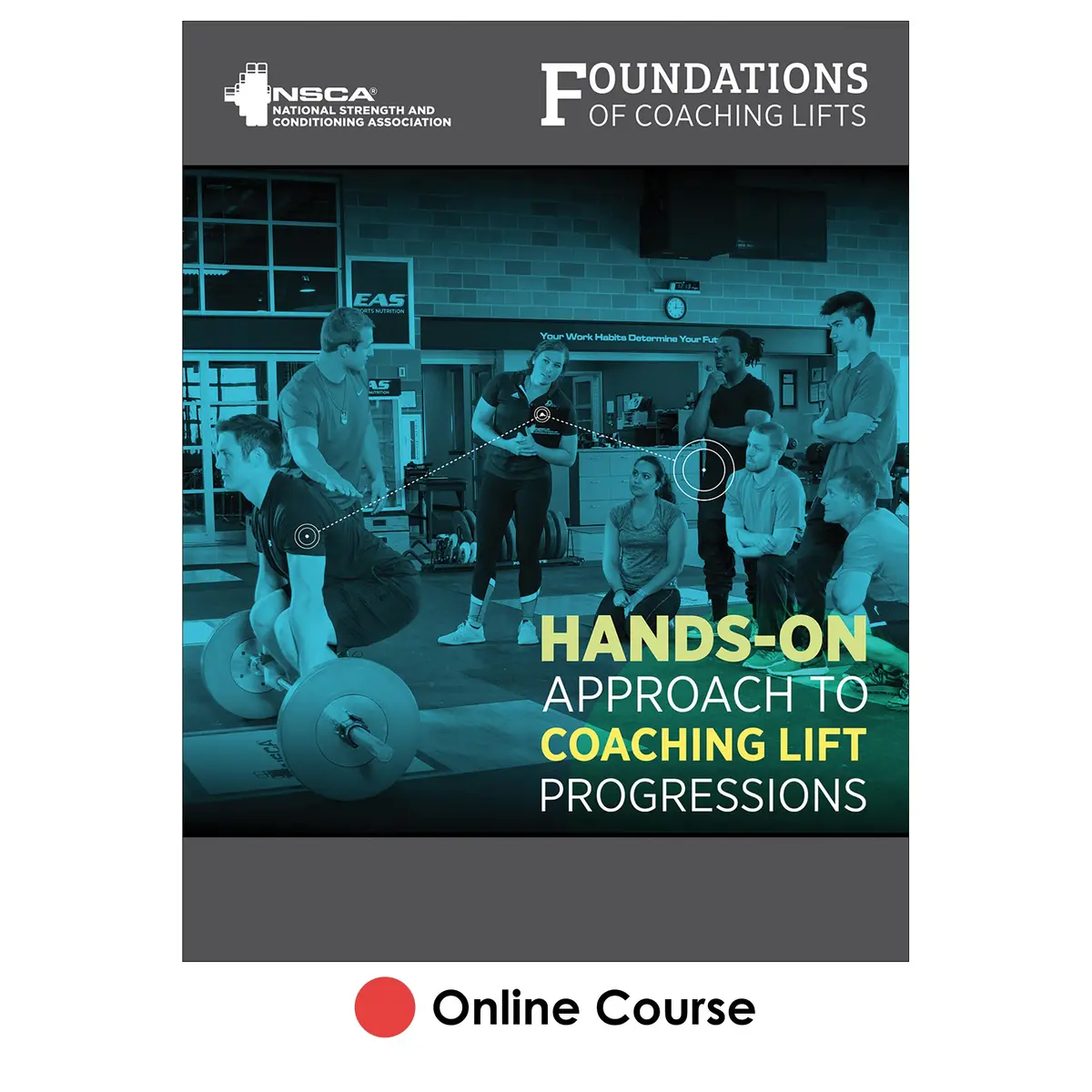Nsca’S Foundations Of Coaching Lifts Online Course, Academic Version 1