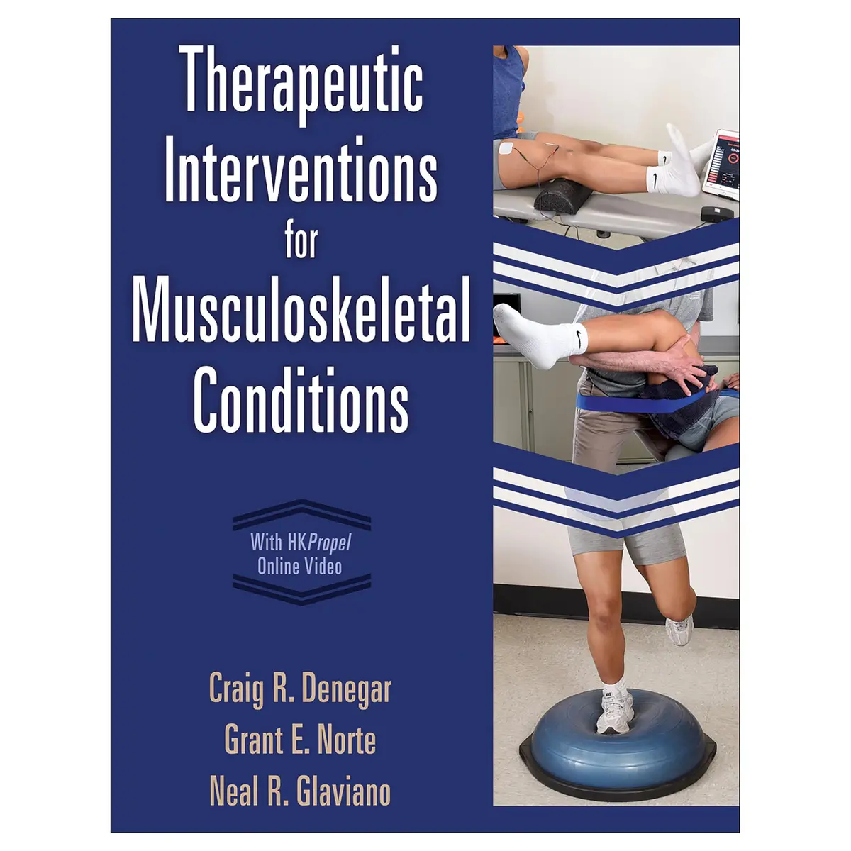 Therapeutic Interventions For Musculoskeletal Conditions Epub 1