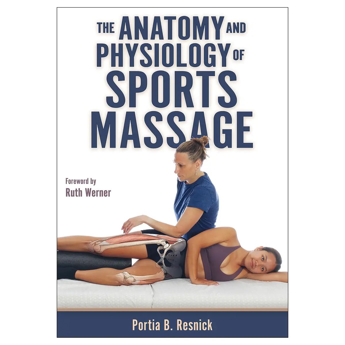 The Anatomy And Physiology Of Sports Massage 1