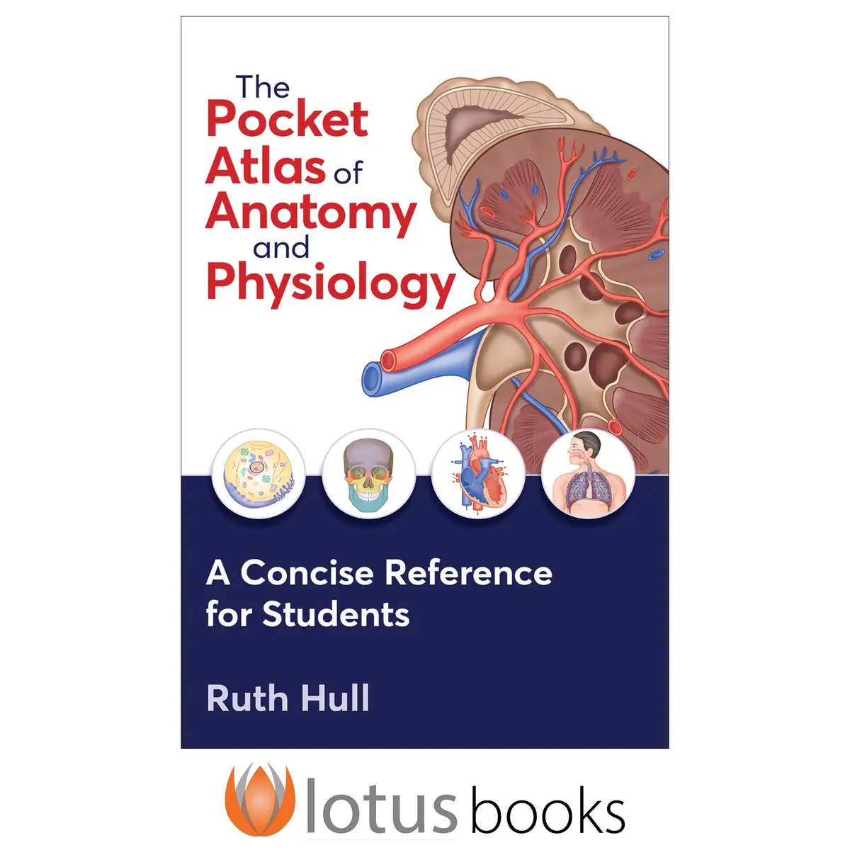 The Pocket Atlas Of Anatomy And Physiology Epub 1