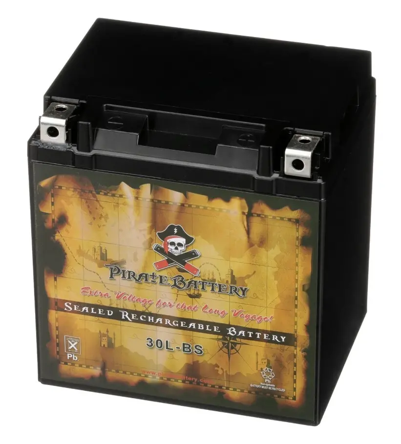 Ytx30l-Motorsport- Maintenance Free - Sealed Agm Motorcycle Battery 1