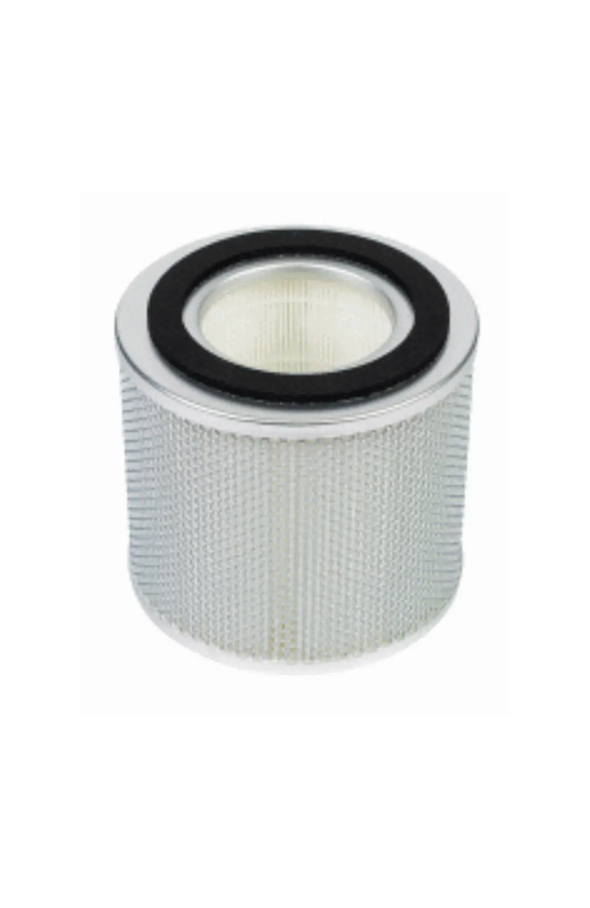 Nilfisk Replacement Absolute Filter 1