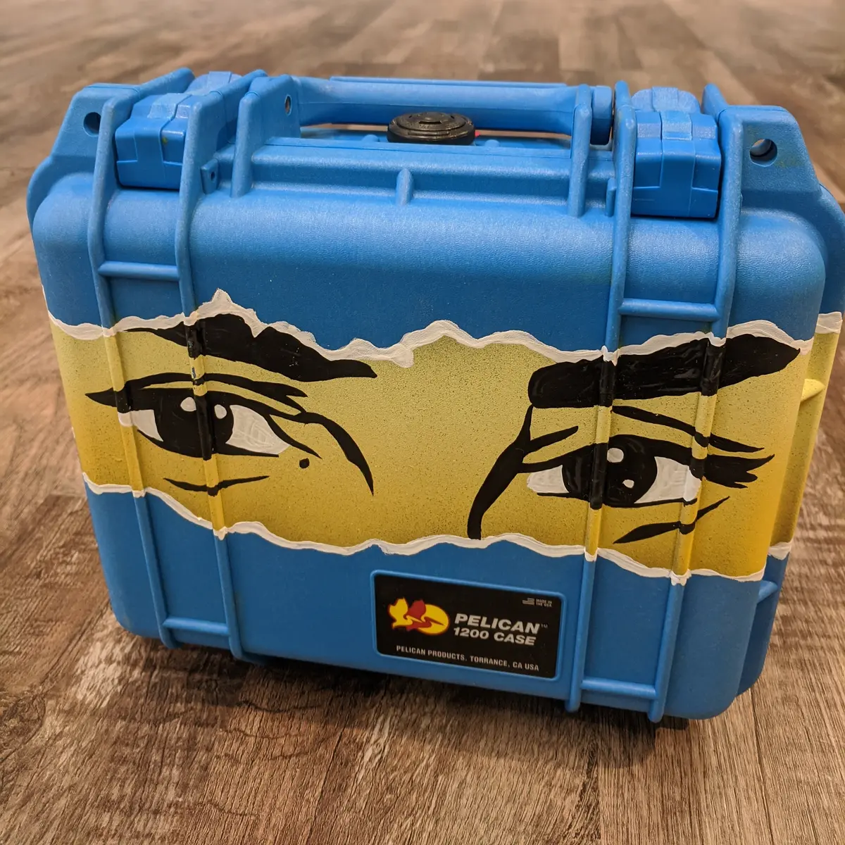 Biafra Custom Pelican 1200 Case 1