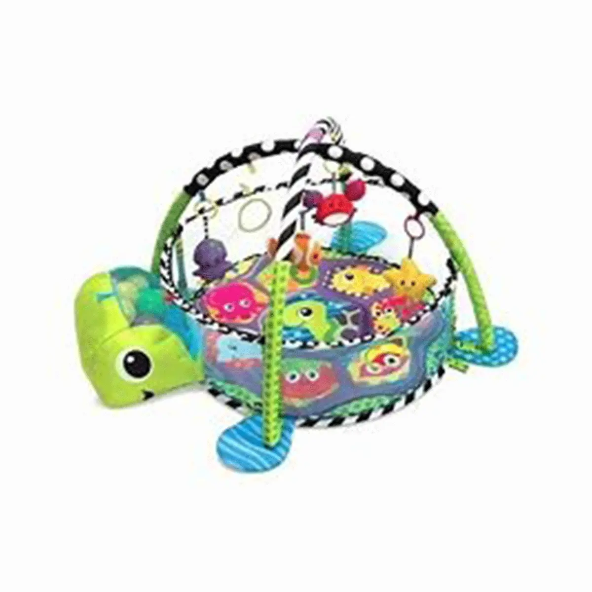 Gimnasio De Pelotas Tortuga - Aeiou 55120 1