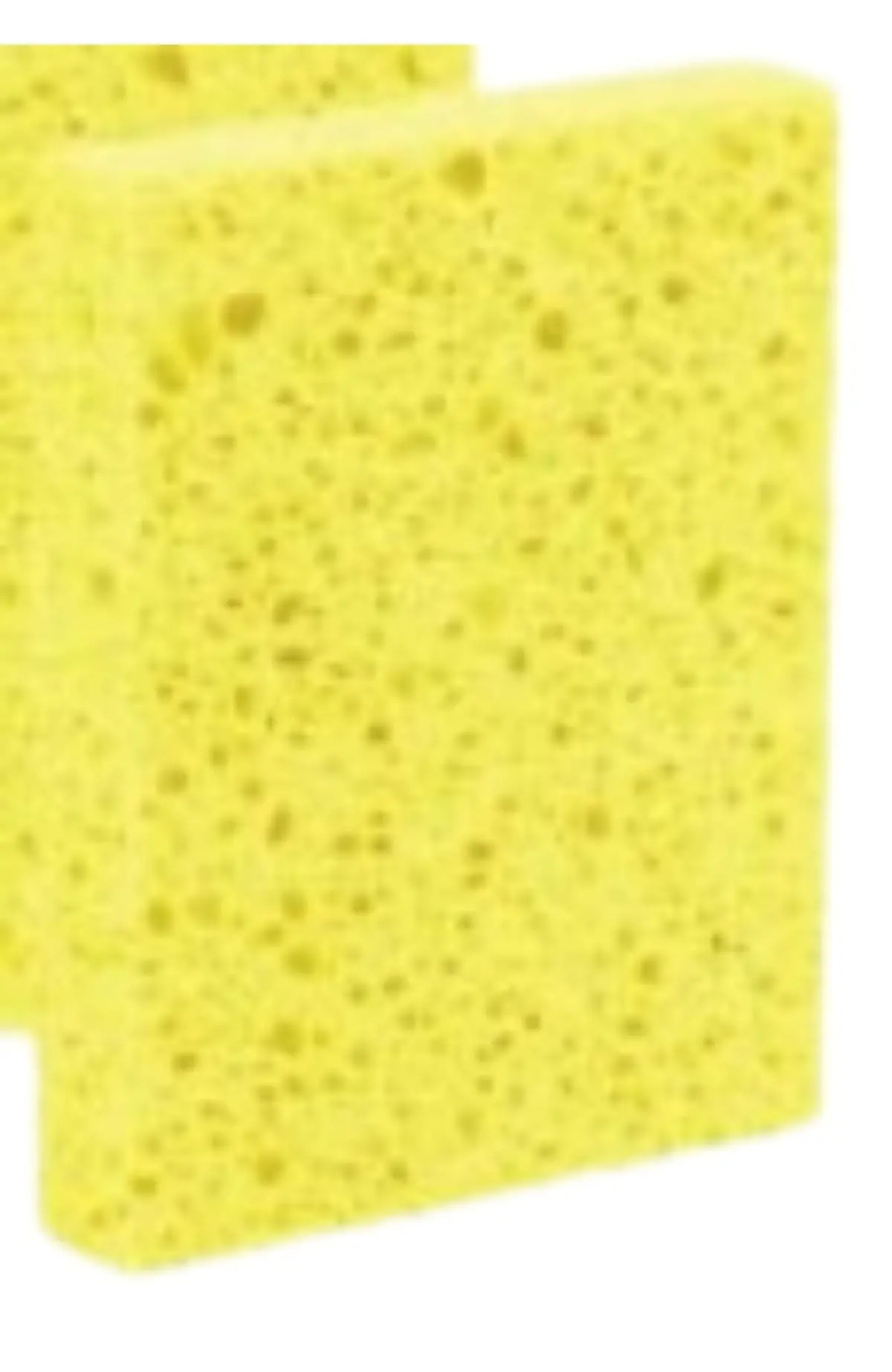 Sm Arnold Brite'n Up Pro Cel Cellulose Sponge - Bnu-111 1