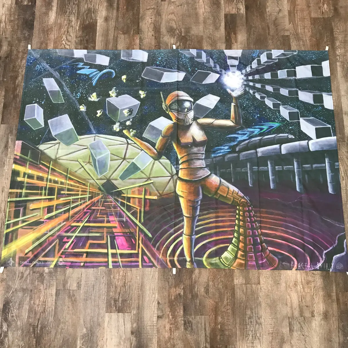 Drake Arnold Astronaut Tapestry 1