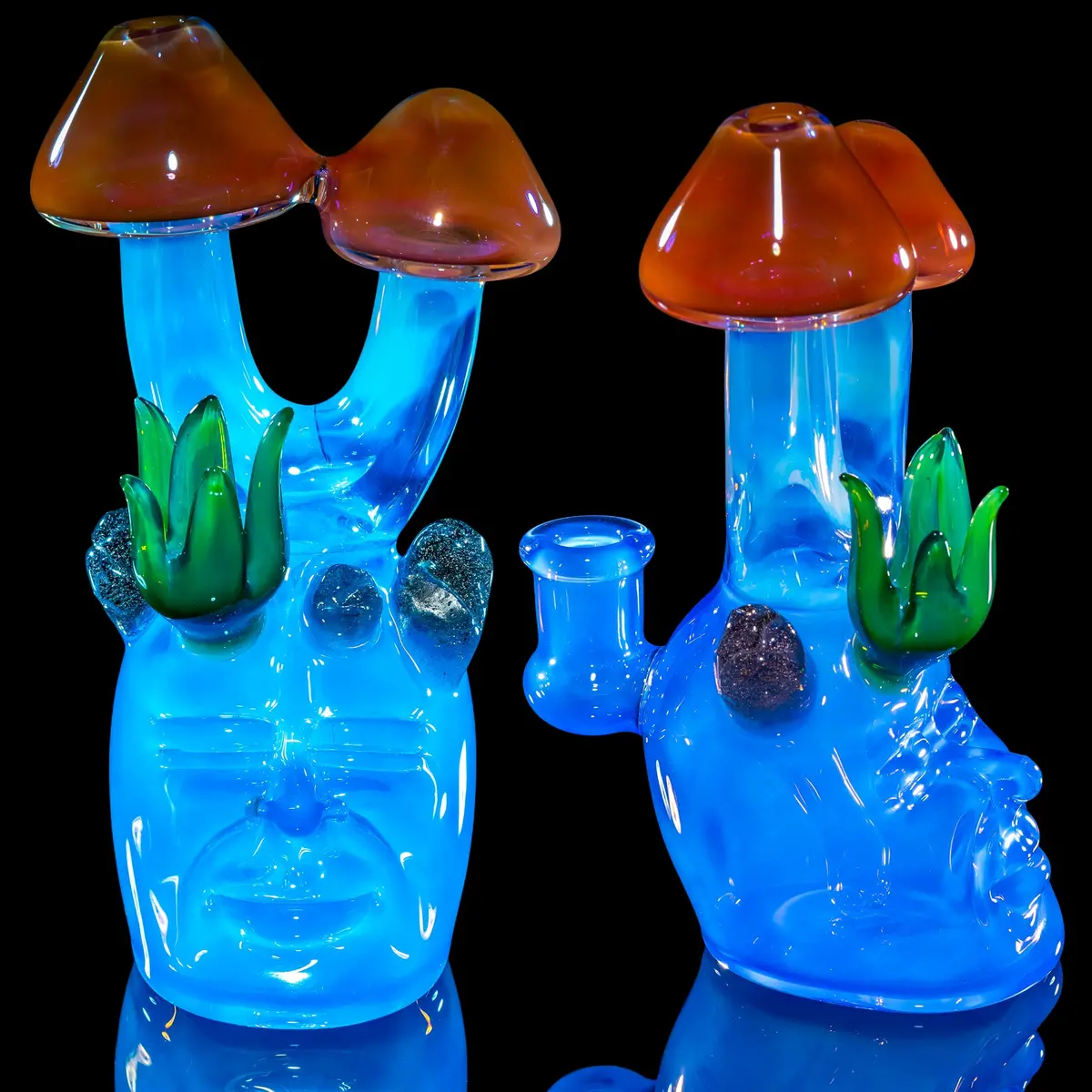 Gps "Mushrooms On My Mind" 1