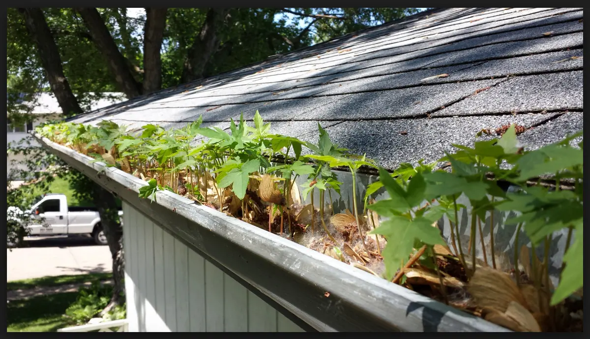 Skyvac®️ Action Photo - Gutter Close Up 6 1