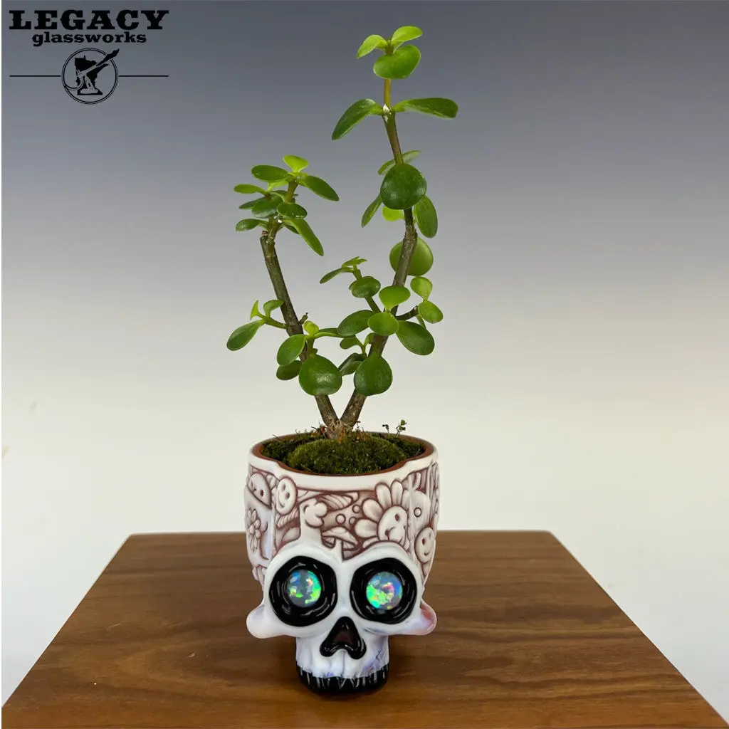 Akm X Rye Plant Holder 1