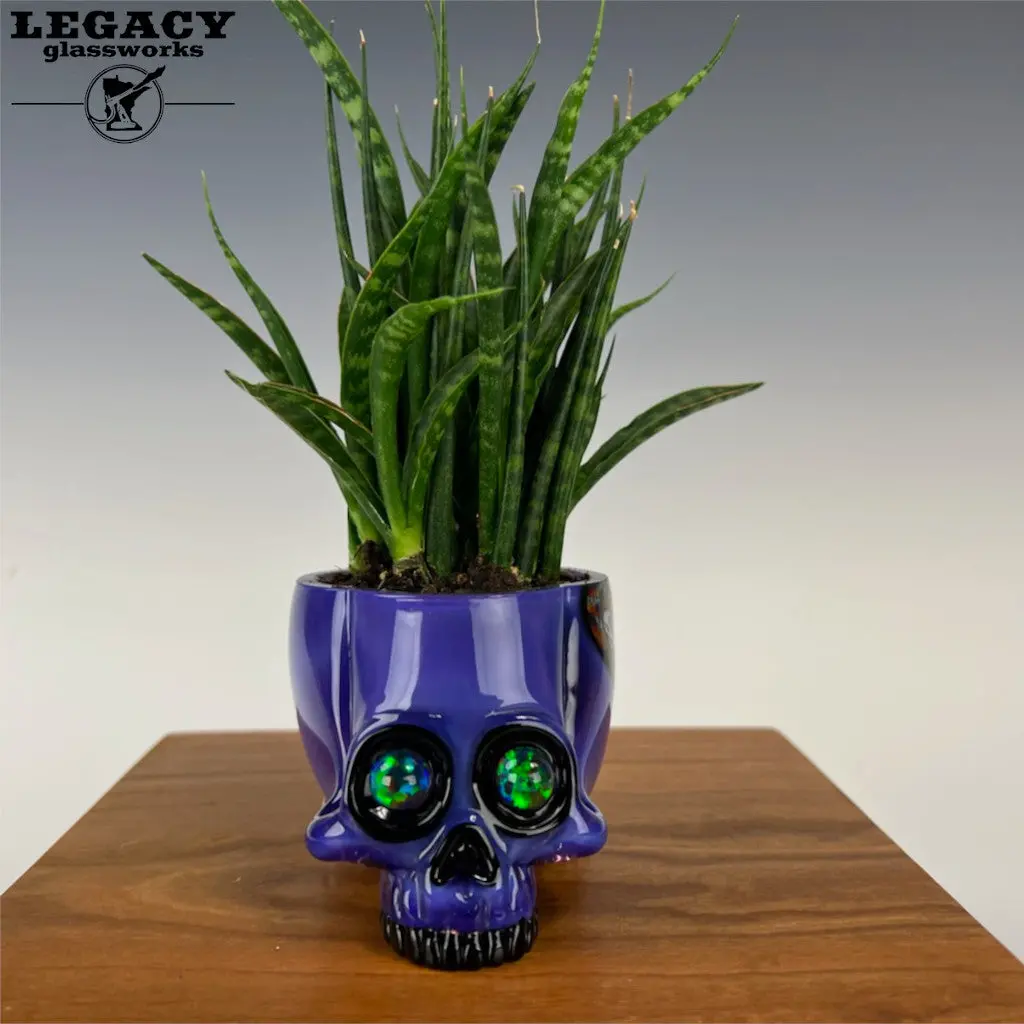 Akm Skull Plant Holder 1