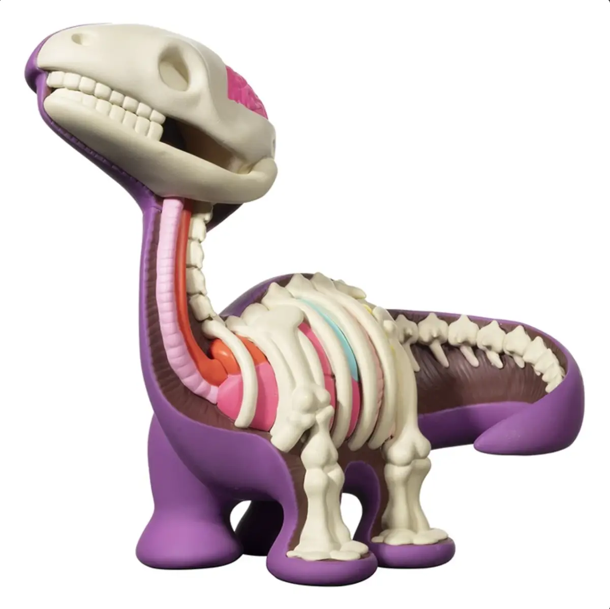 Elbo Dissected Bronto Vinyl Toy 2