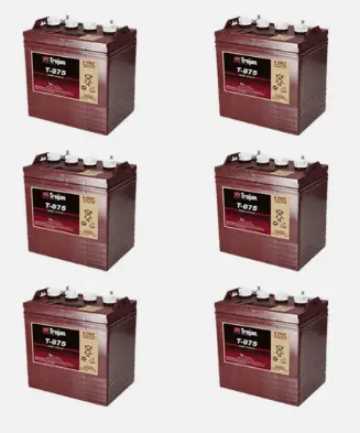 6 Pack Trojan T-875 Deep Cycle Battery For Golf Cart, Solar, Marine 8 Volt 8V 1