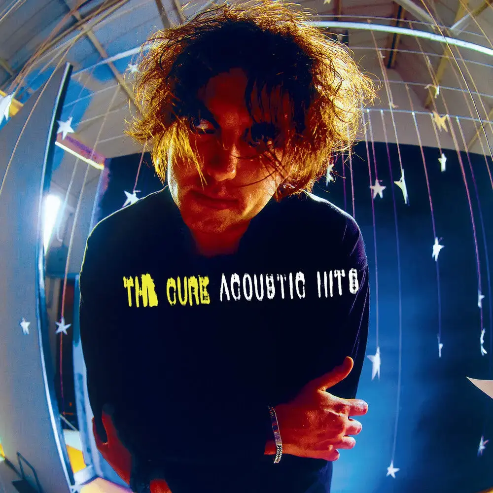 Acoustic Hits 25 Vinyl Record