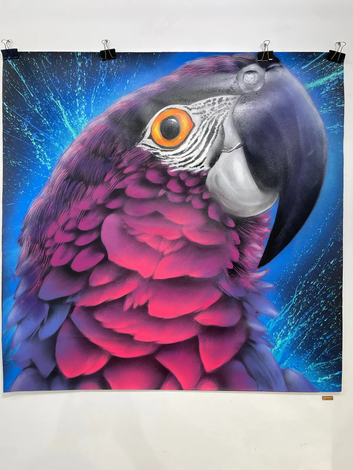 Tom Jay "Macaw" 1