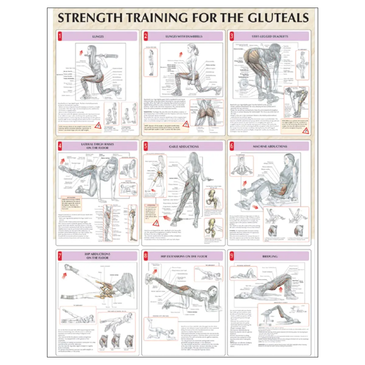 Strength Training For The Buttocks Poster 1