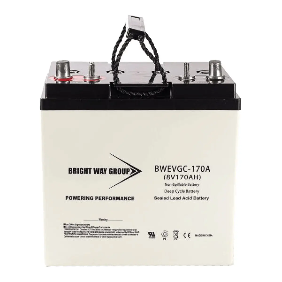 Agm 8V 170Ah Universal Deep Cycle Battery Bw-Evgc8-170A - Lifts, Rv, Floor Scrubbers, And More 1
