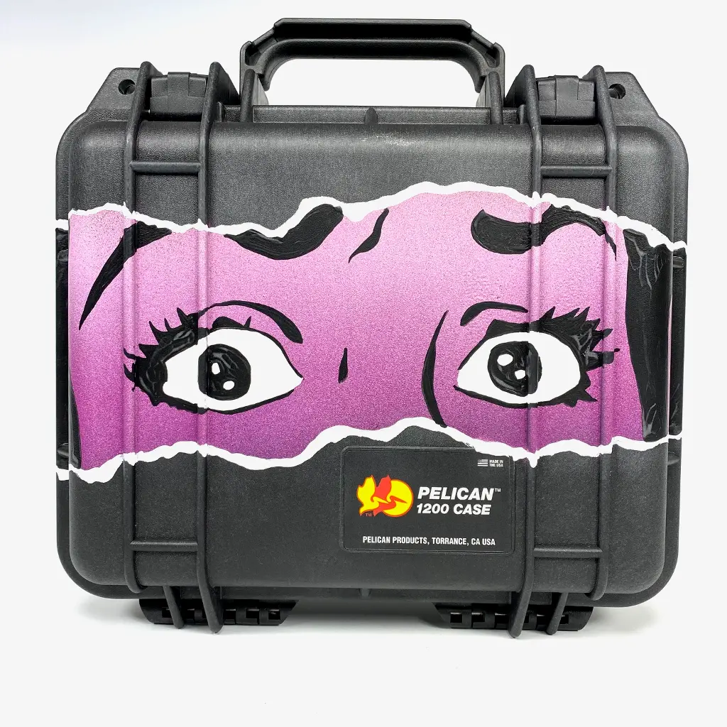 Biafra Custom Pelican 1200 Case 1