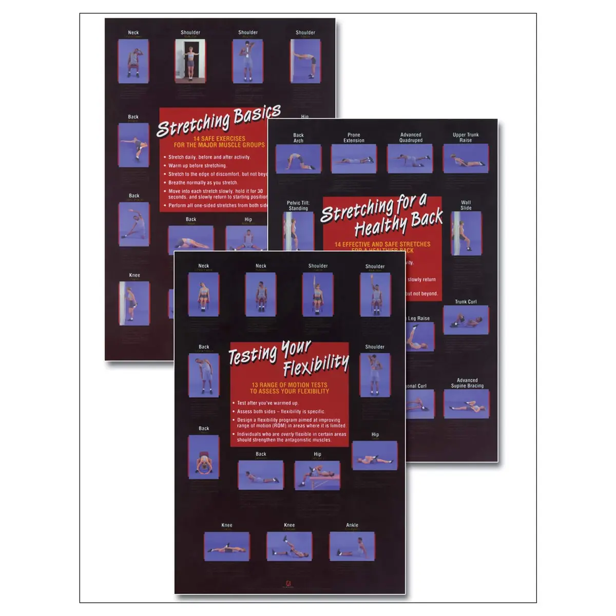 Stretching/Flexibility Posters Set 1
