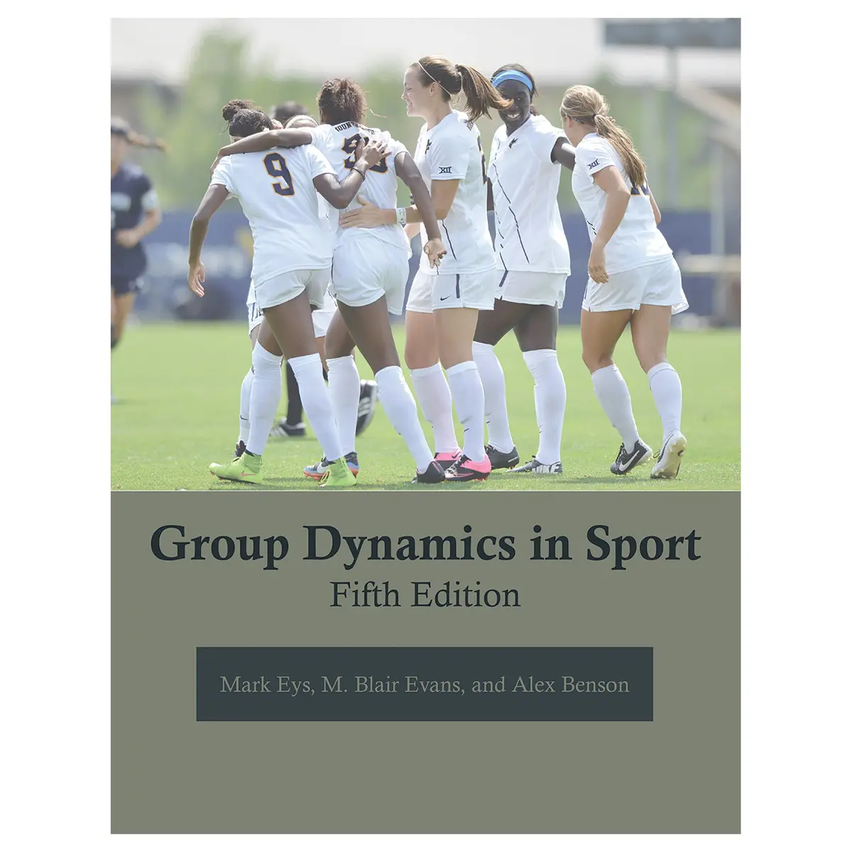 Group Dynamics In Sport 5Th Edition Pdf 1
