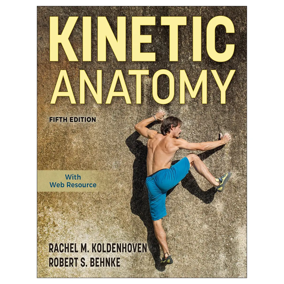 Kinetic Anatomy 5Th Edition Epub 1