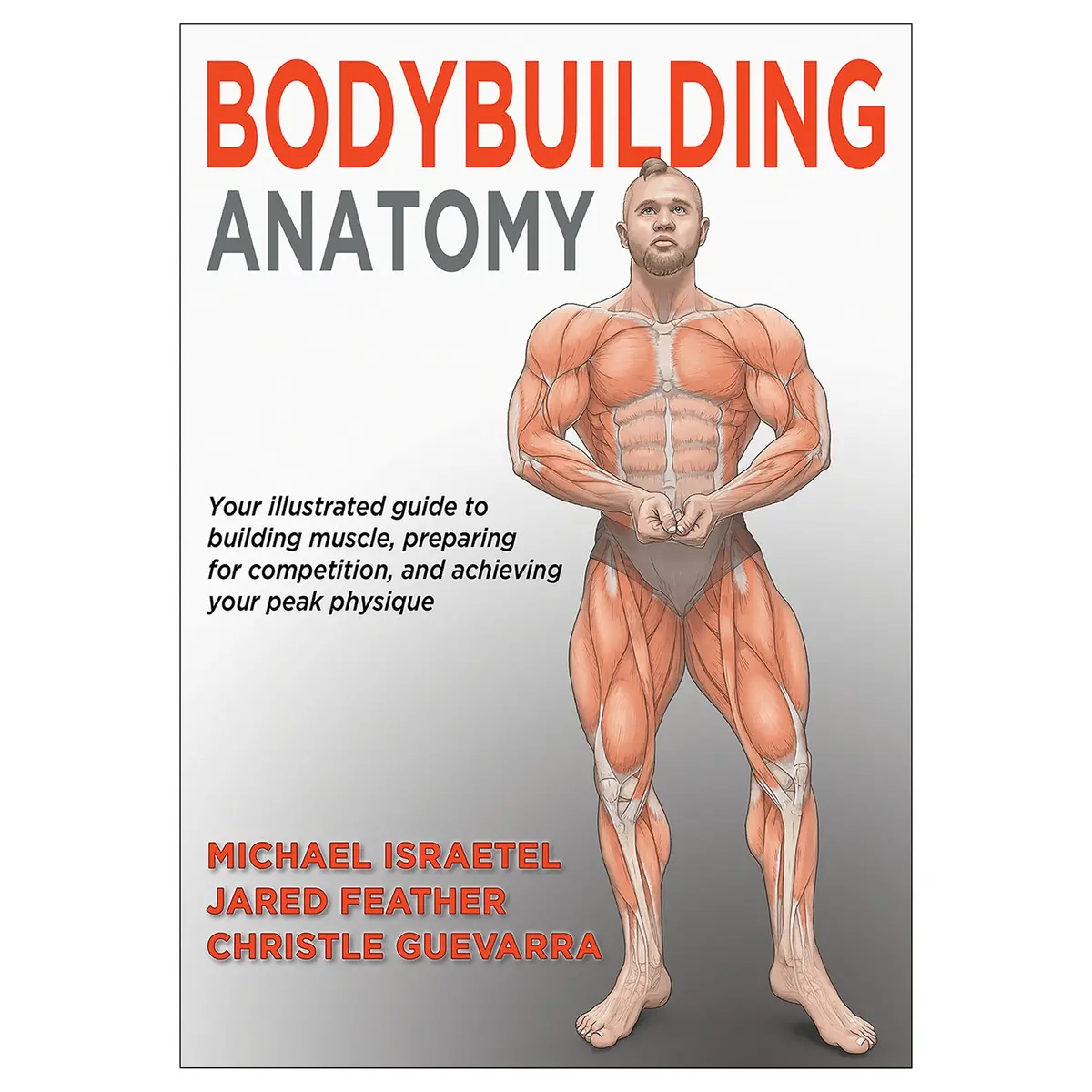 Bodybuilding Anatomy Epub 1