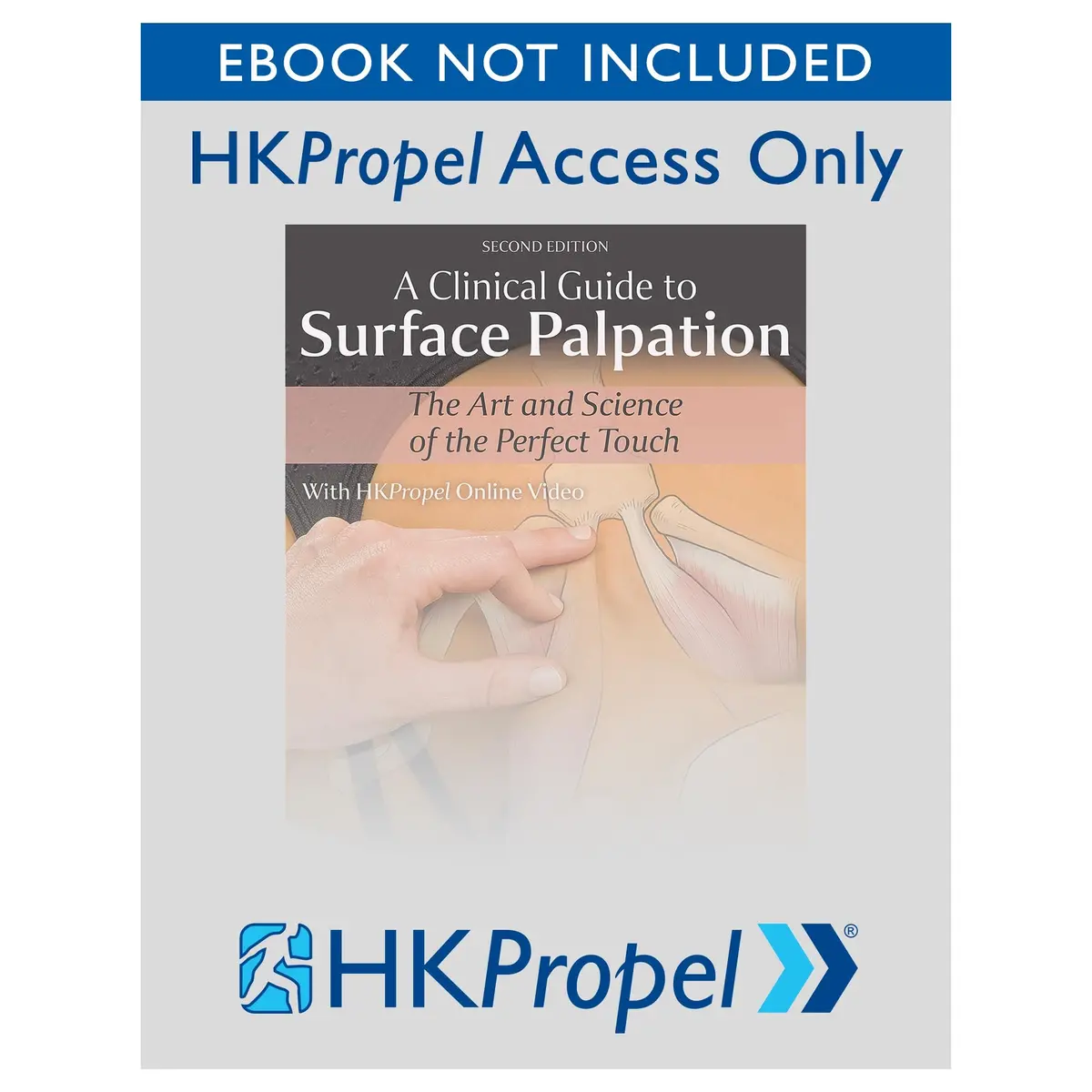 A Clinical Guide To Surface Palpation 2Nd Edition Hkpropel Online Video-Ebook Not Included 1