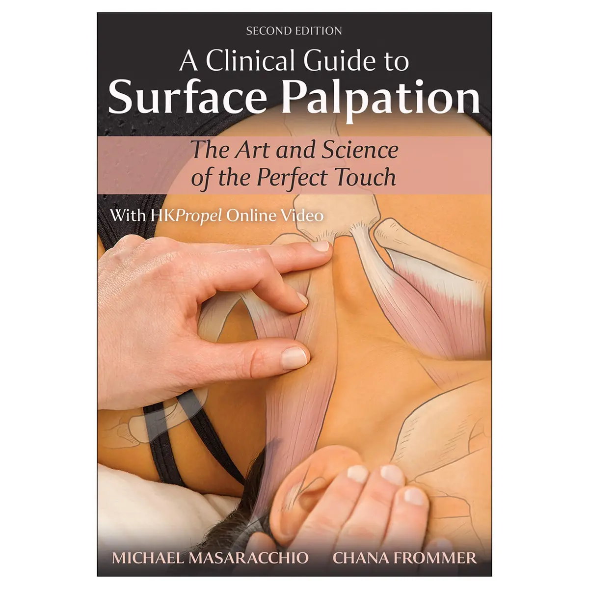 A Clinical Guide To Surface Palpation 2Nd Edition 1