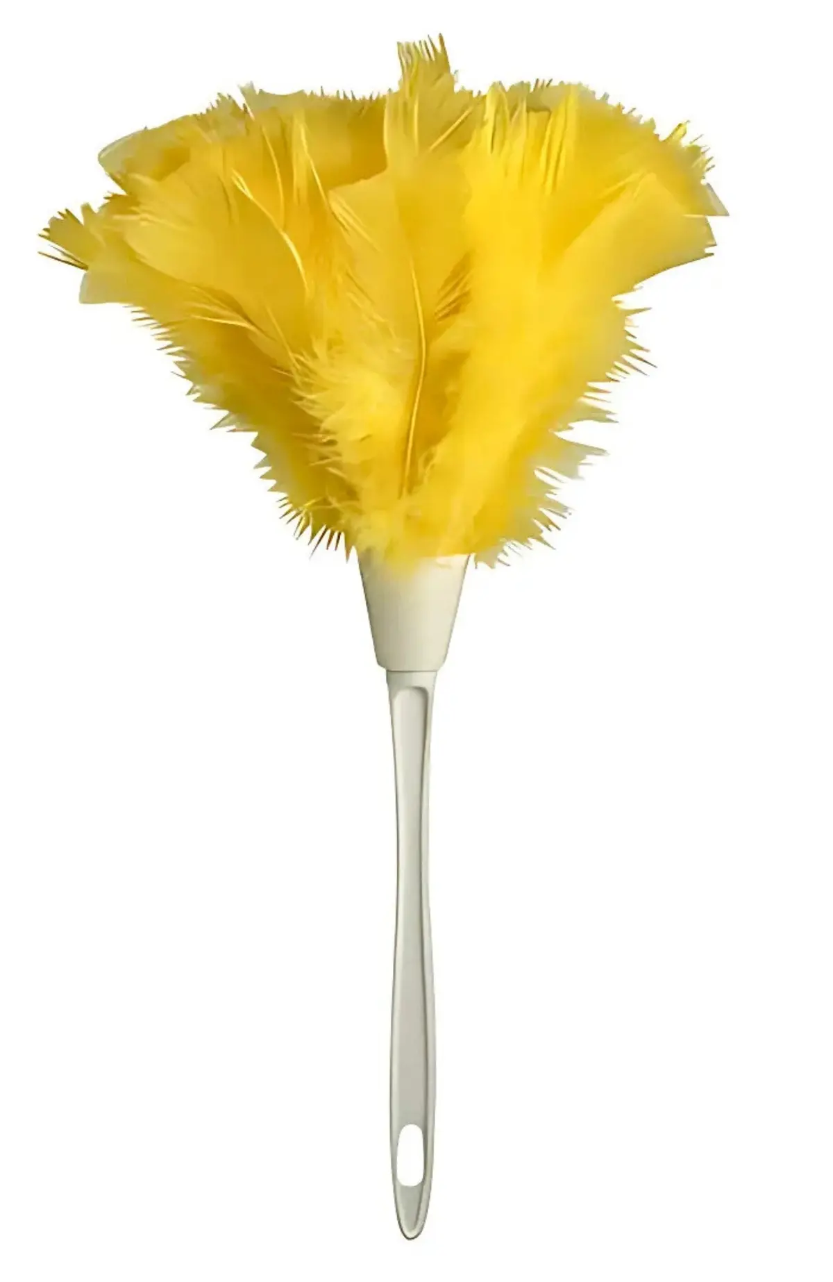 Ettore Turkey Feather Duster (You Choose) 1