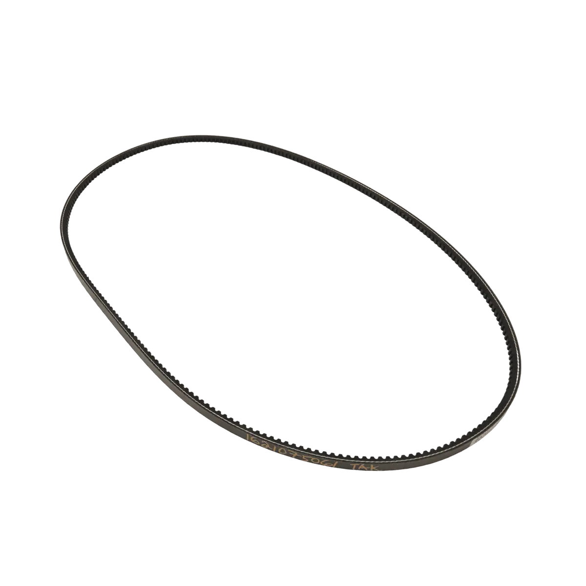 Takeuchi V-Belt 1621075061 1