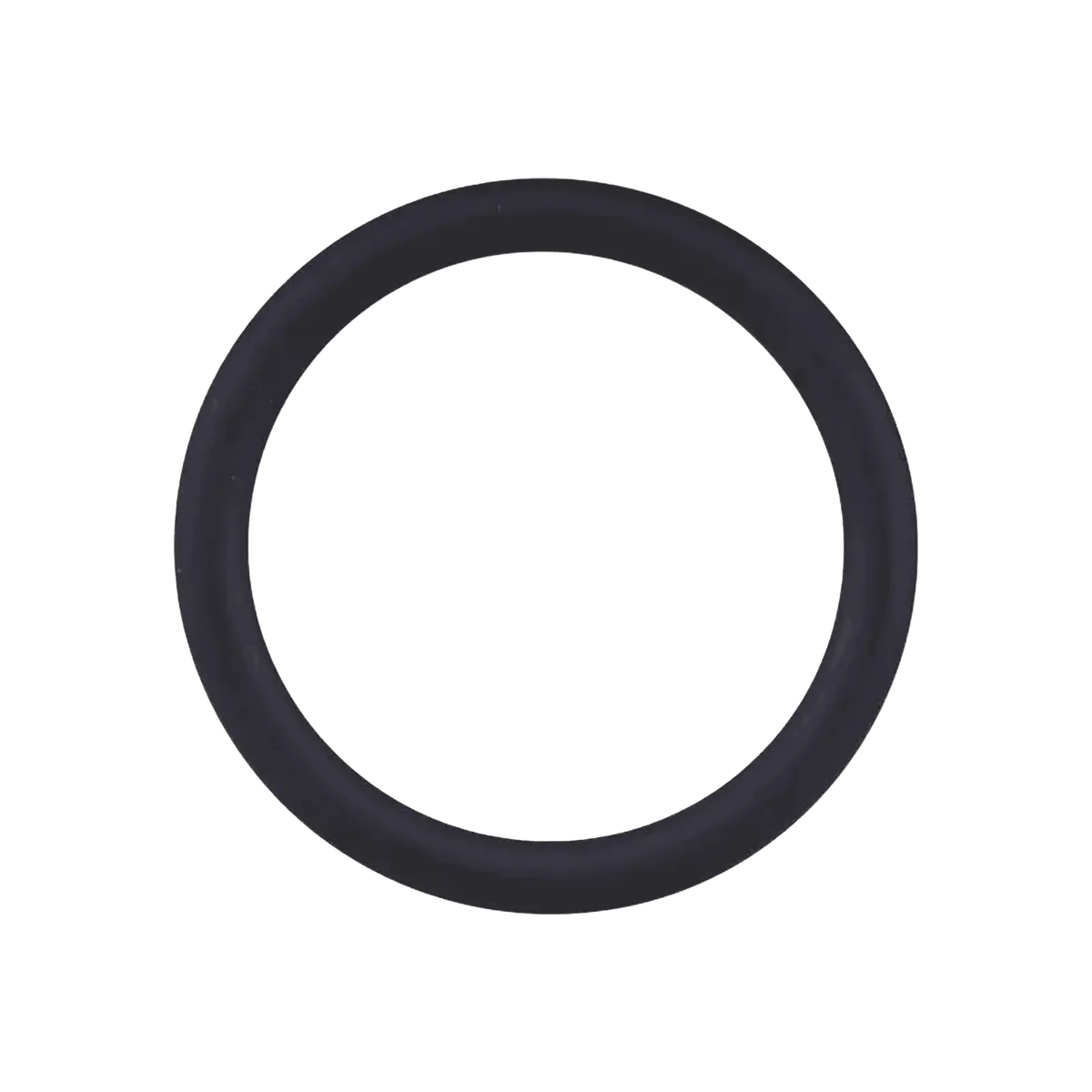 Jlg Sealing Ring, Water Pump 70031055 1